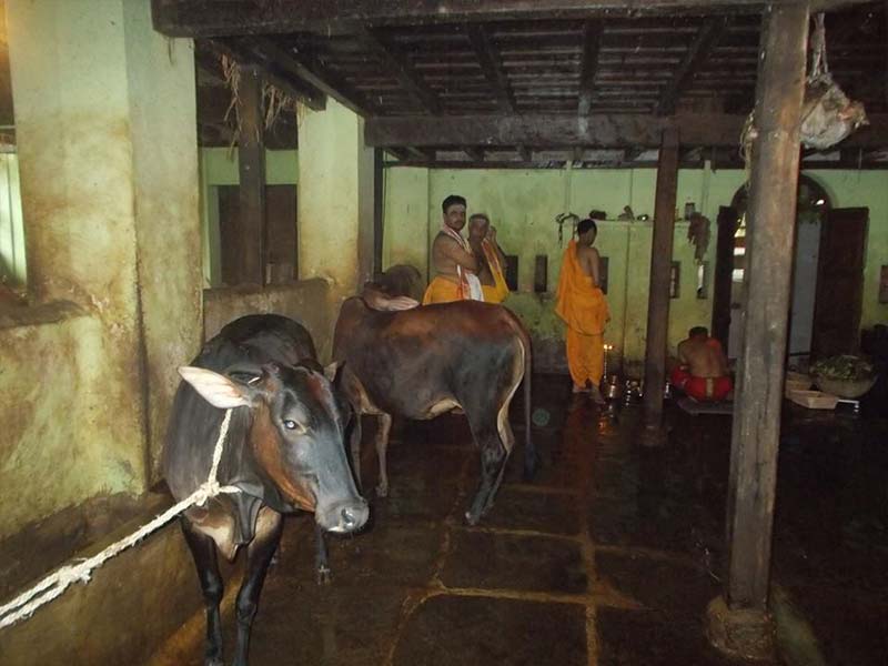 Divagi Matha Goshale